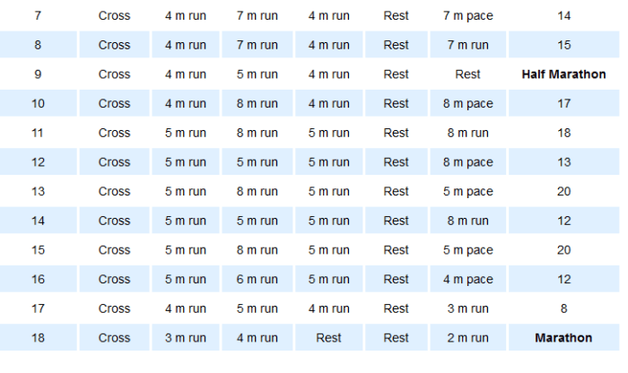 Hal Higdon 11 weeks to go