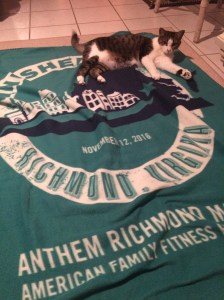 My cat Mendoza loves the finishers blanket.