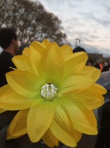 My beautiful, inspirational yellow flower.